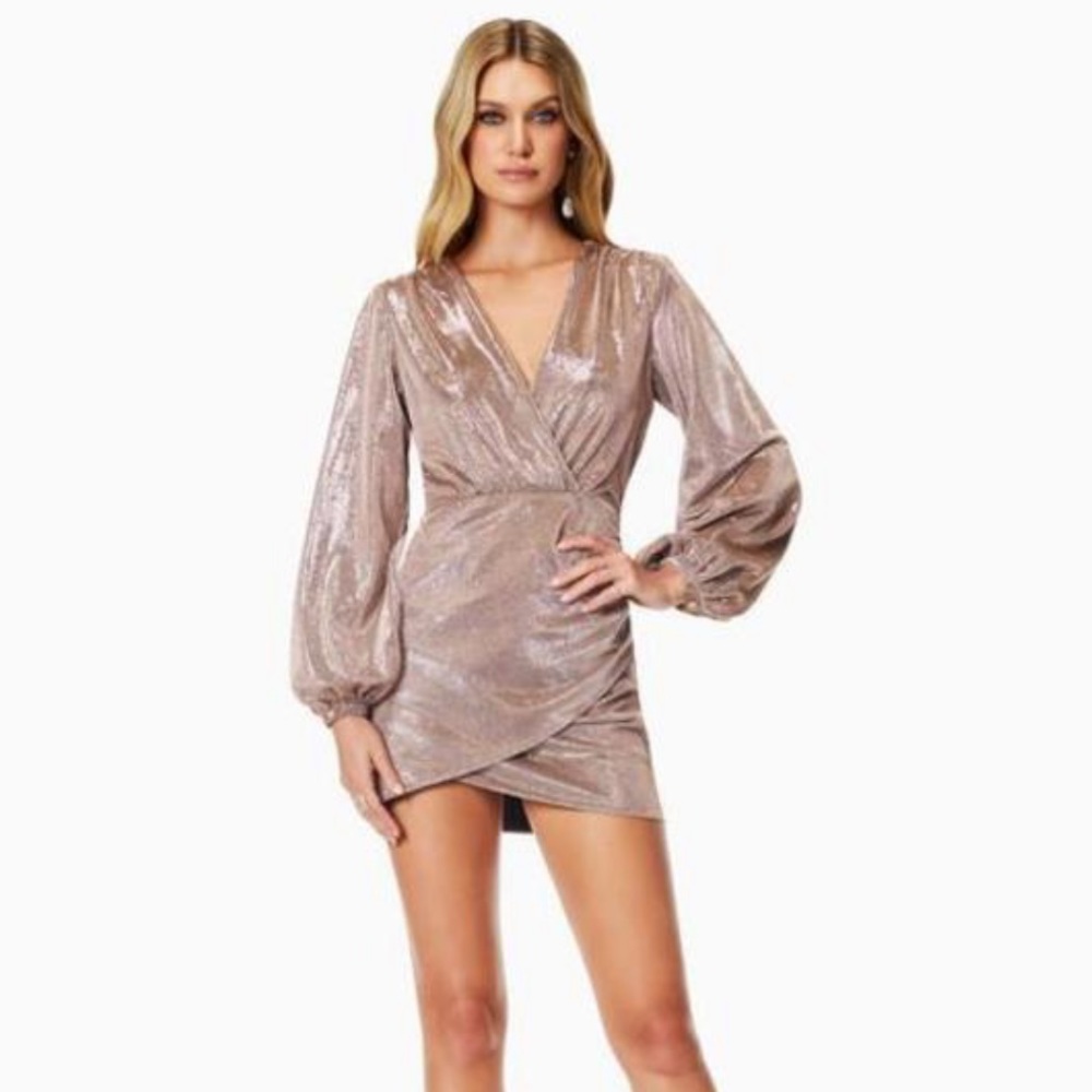 Ramy Brook Bonny Dress - Holiday Blush